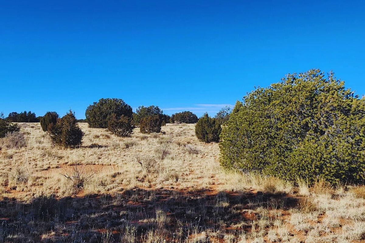 Deep 3 Lots of Trees - 792 S WEDGEWOOD DR WILLIAMS, AZ 86046