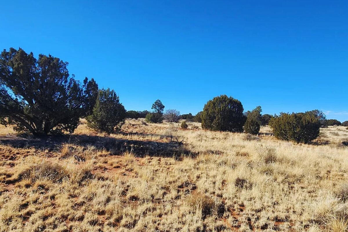 Deep 3 Lots of Trees - 792 S WEDGEWOOD DR WILLIAMS, AZ 86046