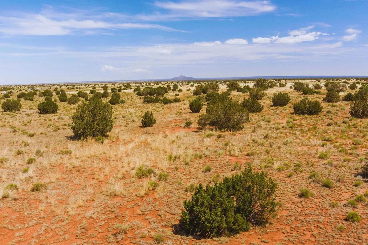 Deep 3 Lots of Trees - 792 S WEDGEWOOD DR WILLIAMS, AZ 86046