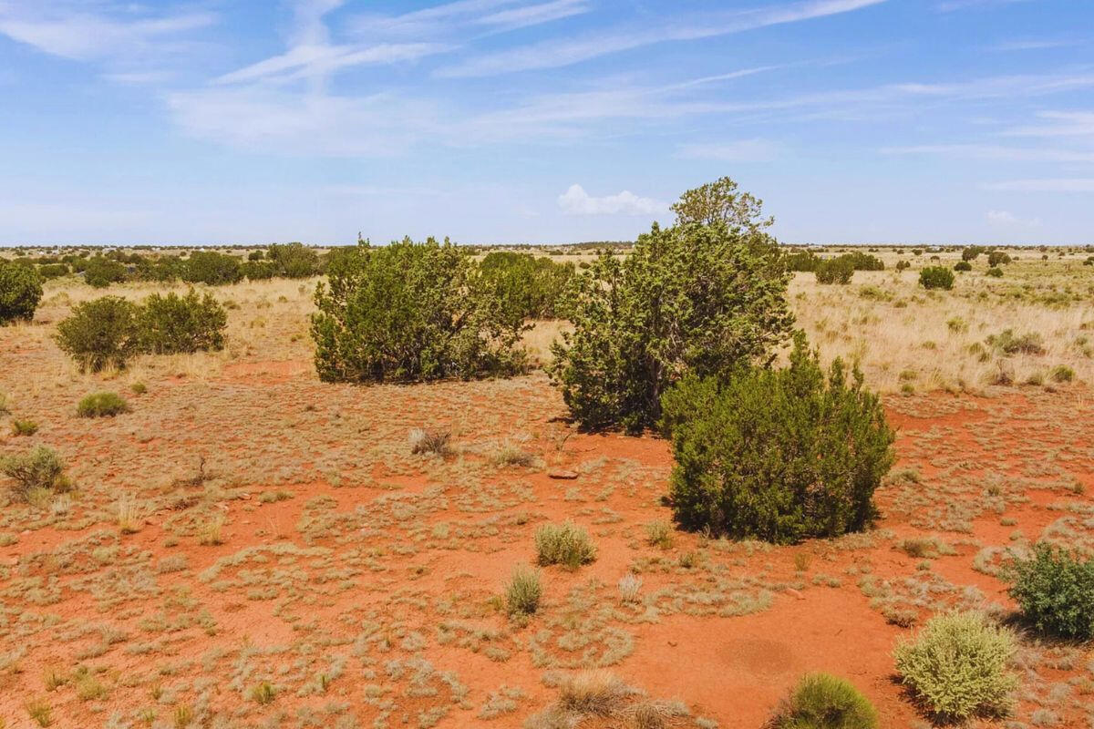 Deep 3 Lots of Trees - 792 S WEDGEWOOD DR WILLIAMS, AZ 86046